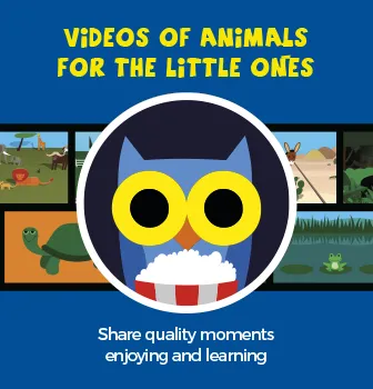 OWLIE BOO - Videos of animals for the little ones